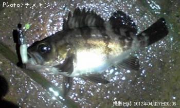 Ф