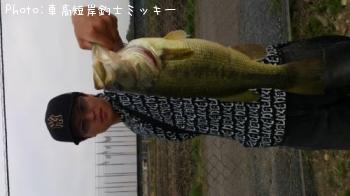 ブラックバス