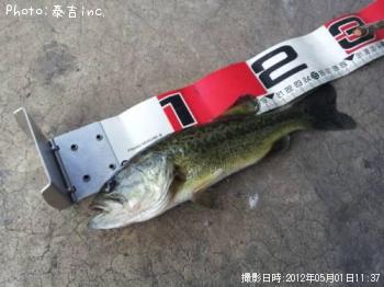 ブラックバス