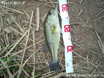 顼ޥХ