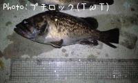 ソイ