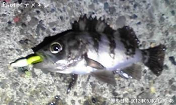 Ф