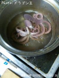 タコ