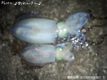 屨±
