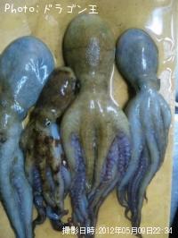 タコ