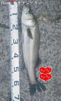 Х