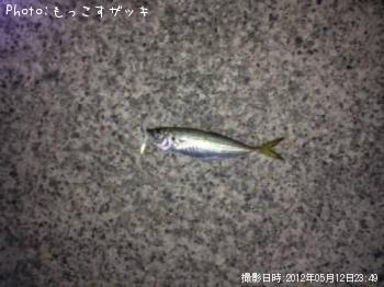 アジ