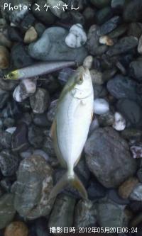 ¥«¥ó¥Ñ¥Á¤Î»Ò¡©¡©