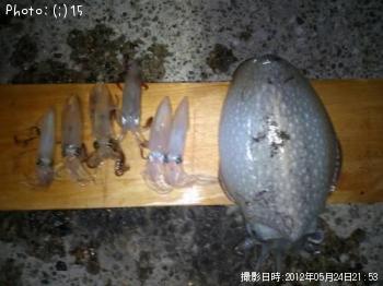 ひいか