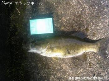 スモールバス
