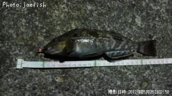 ʥ