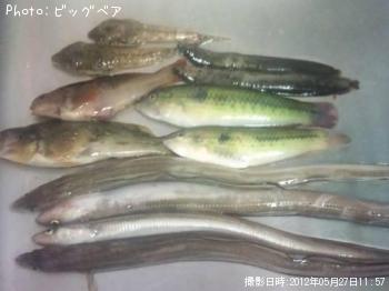 奦٥