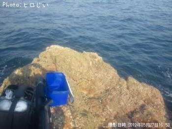 チヌ