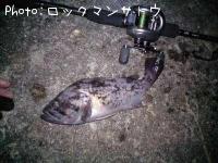 クロソイ