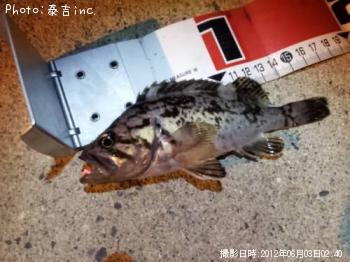 ソイ