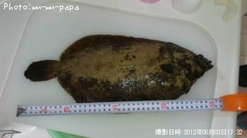 ХХ쥤