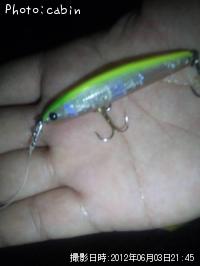 キビレ