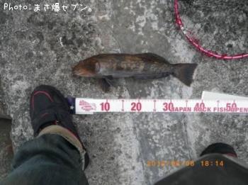 ʥ