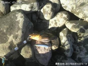ʥ