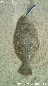 ҥ