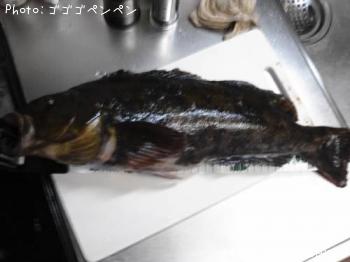 ʥ