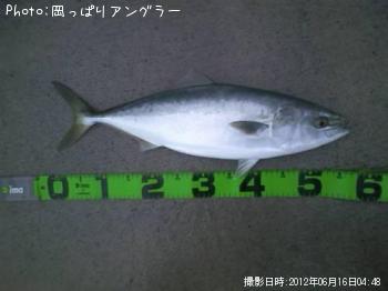 ʥ