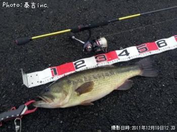 ブラックバス