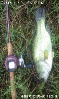 ＢＬＡＣＫ　ＢＡＳＳ