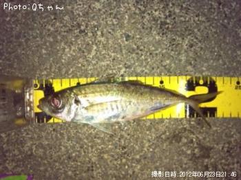 アジ