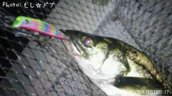 フッコ
