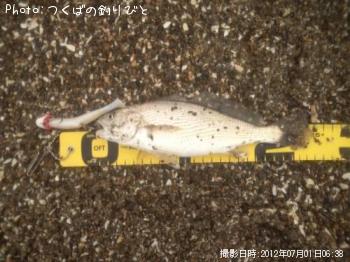 イシモチ