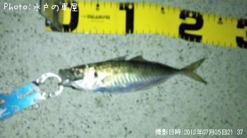 アジ