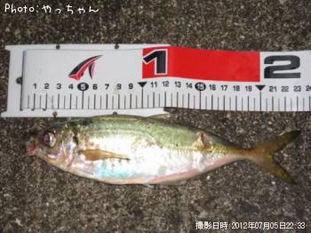 アジ