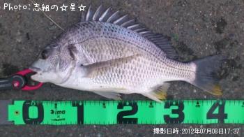 キビレ