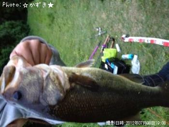 ブラックバス