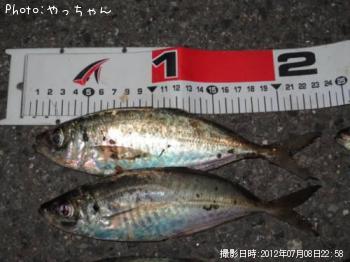 アジ