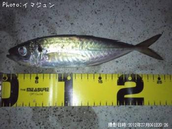 アジ