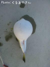 ե