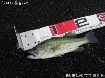 ブラックバス