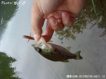 顼ޥХ