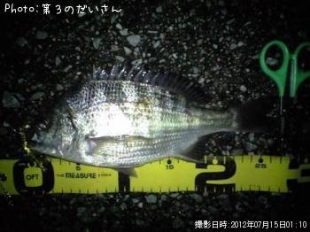チヌ