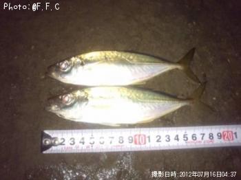アジ