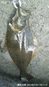 ҥ