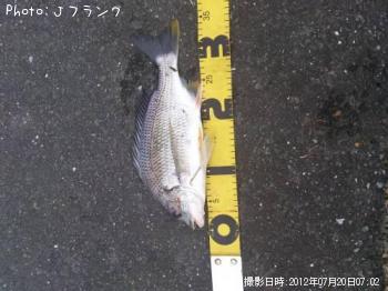 キビレ