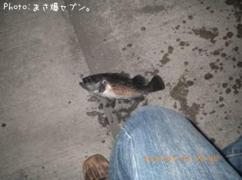 クロソイ