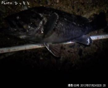 クロソイ