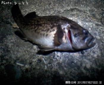 クロソイ