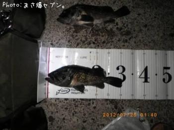クロソイ