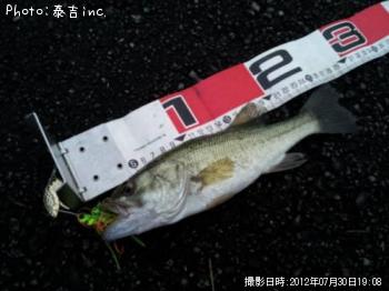 ブラックバス