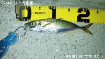アジ